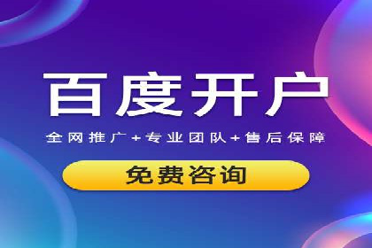 SEM广告投放中的数据监控与调整策略——以某品牌营销案例为例